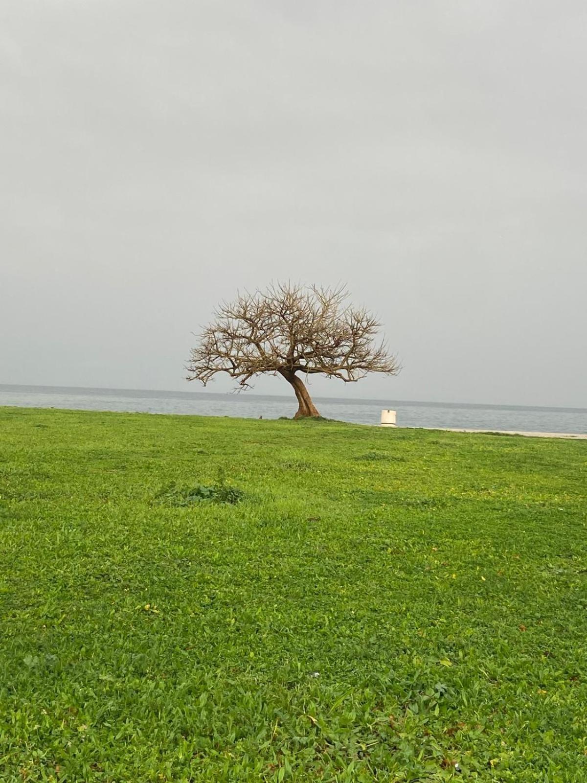 I Giardini Di Villa Giulia ปาแลร์โม ภายนอก รูปภาพ